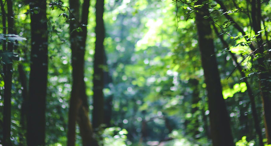 Jiaxing Xuanyi International Trade Co., Ltd